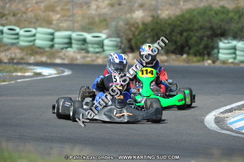 DSC (2973).JPG